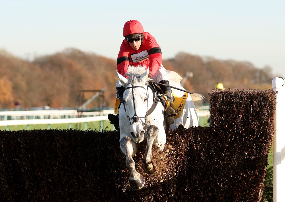 Grey Dawning could have his coming of age performance on Saturday at Haydock