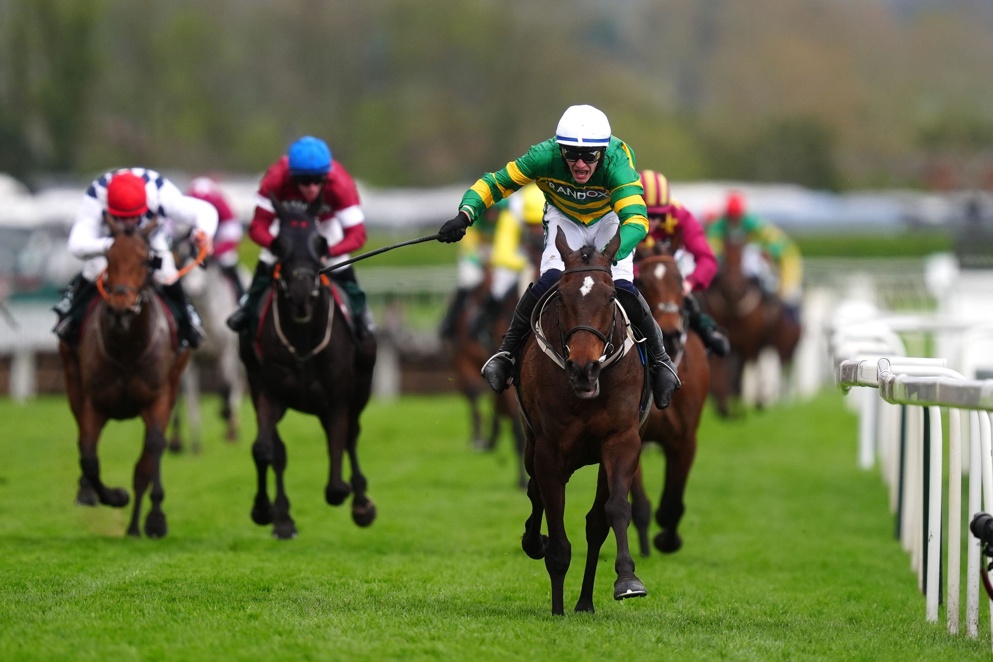 I Am Maximus could be a value bet in the Irish Gold Cup