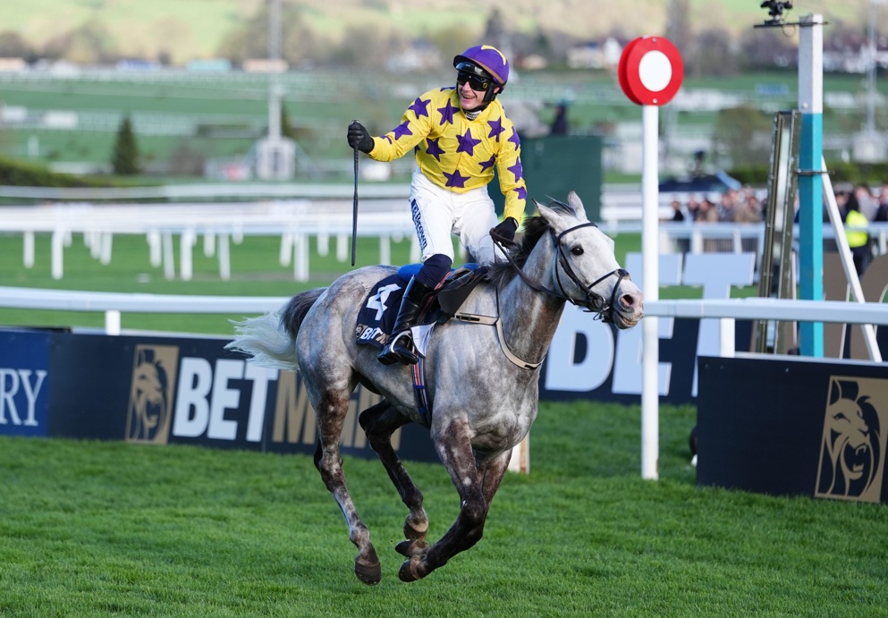 Will Il Etait Temps win again at Cheltenham 2027?