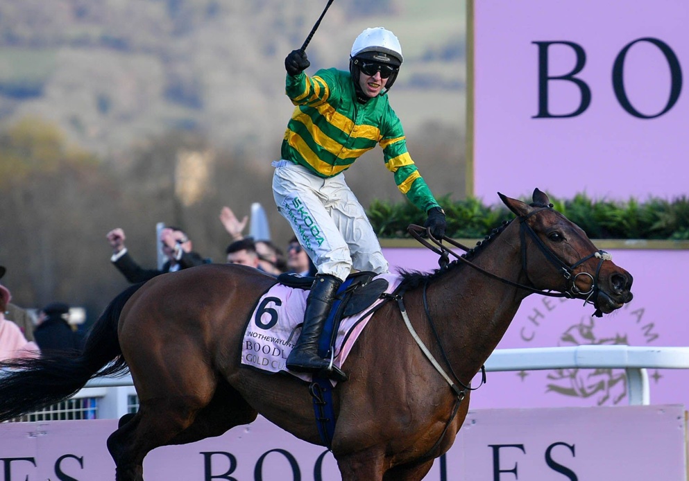 Can INOTHEWAYURTHINKIN bounce back to form and retain the Cheltenham Gold Cup?