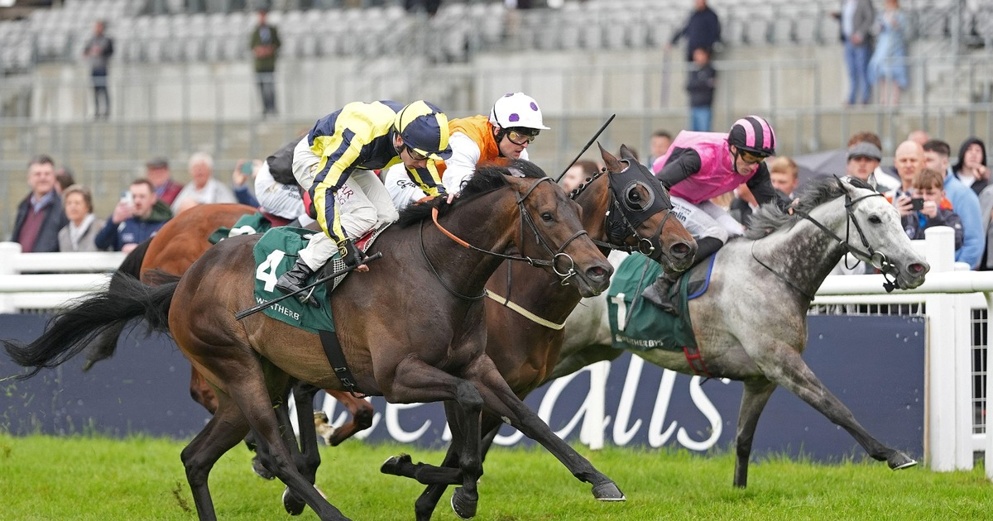 James's Delight is back for another crack at the Cammidge at Doncaster