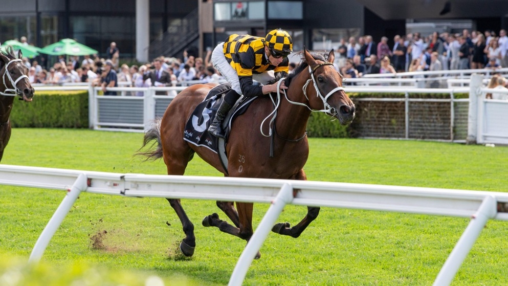 Joliestar is the headline attraction of the foreign raiders in the QEII Jubilee