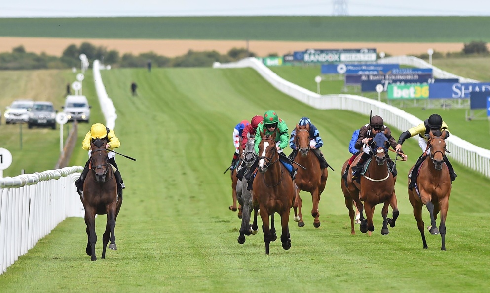 We have 3 tips for the Newmarket Saturday action