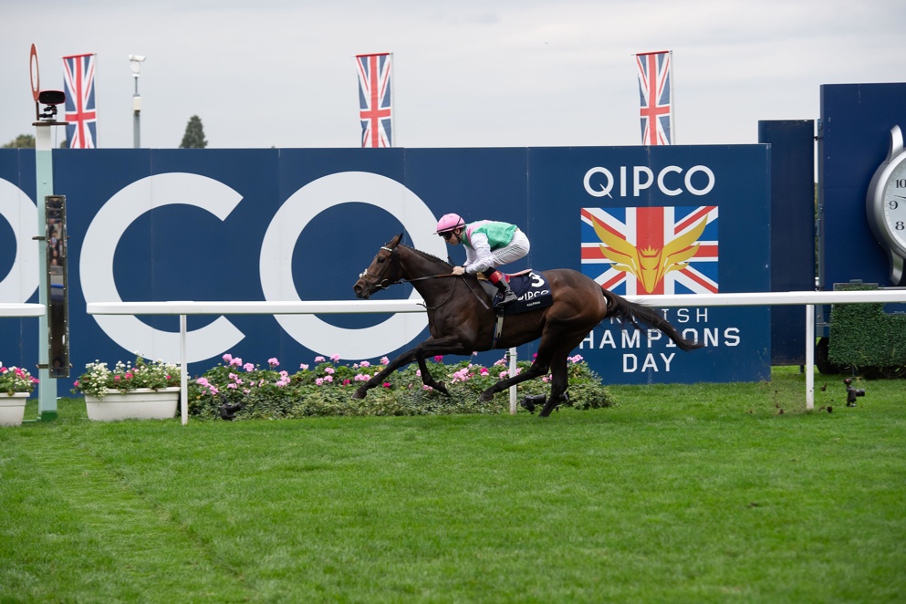 Kalpana sets the standard as favourite for the Hardwicke