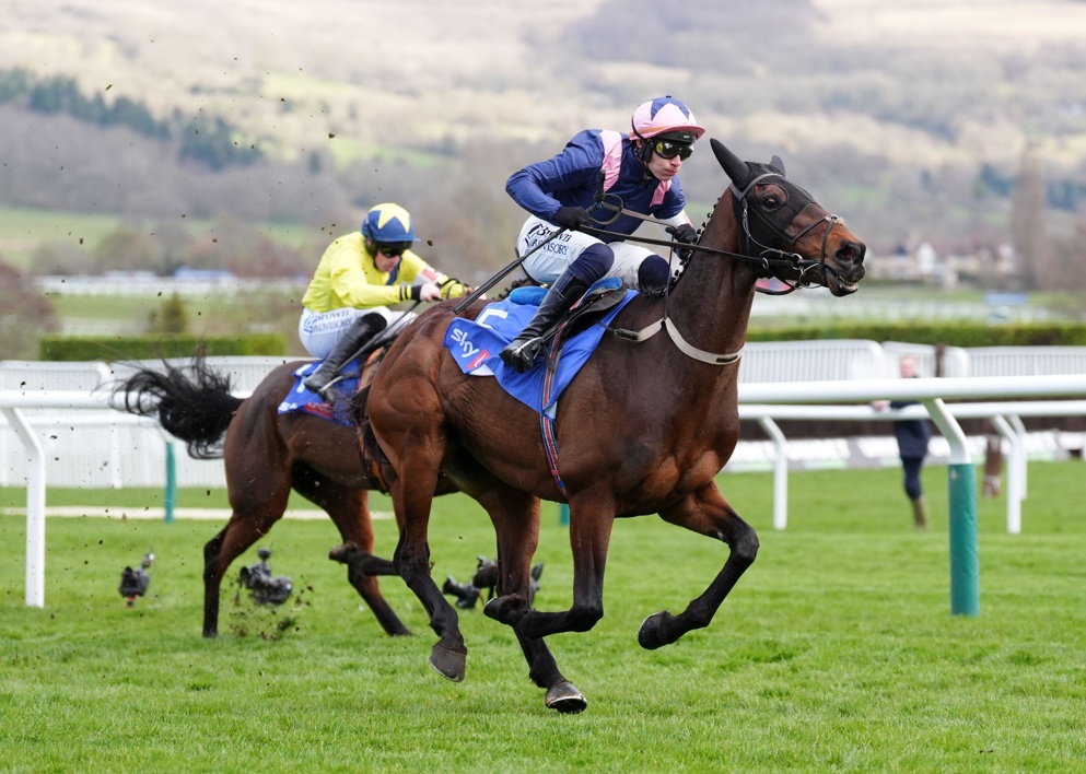 Kopek Des Bordes makes his chasing debut today at Navan's rescheduled card