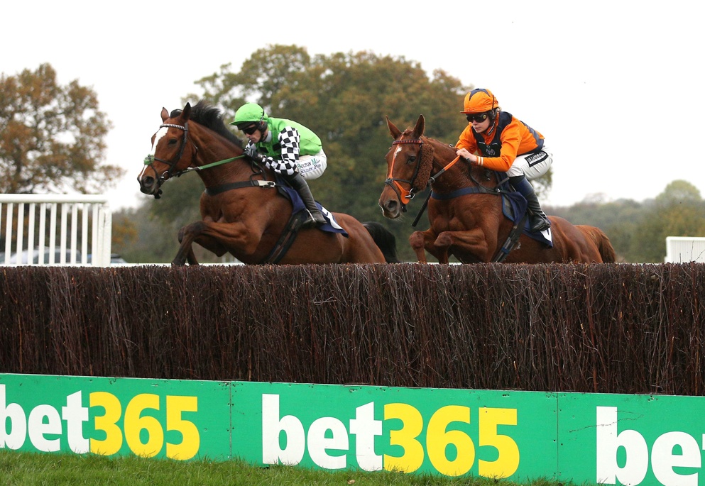 Ladronne Wetherby Fence