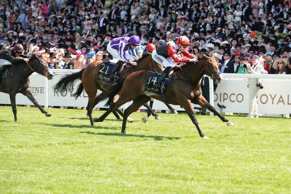Libertango looks a worthy favourite in the opener at York