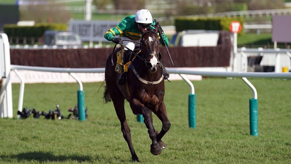 Is MAJBOROUGH the banker of the week in Wednesday's Champion Chase?