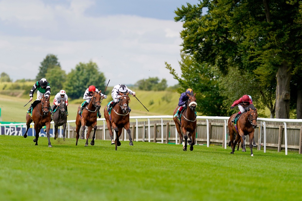 Newmarket hosts a huge handicap, the Cambridgeshire, on Saturday!
