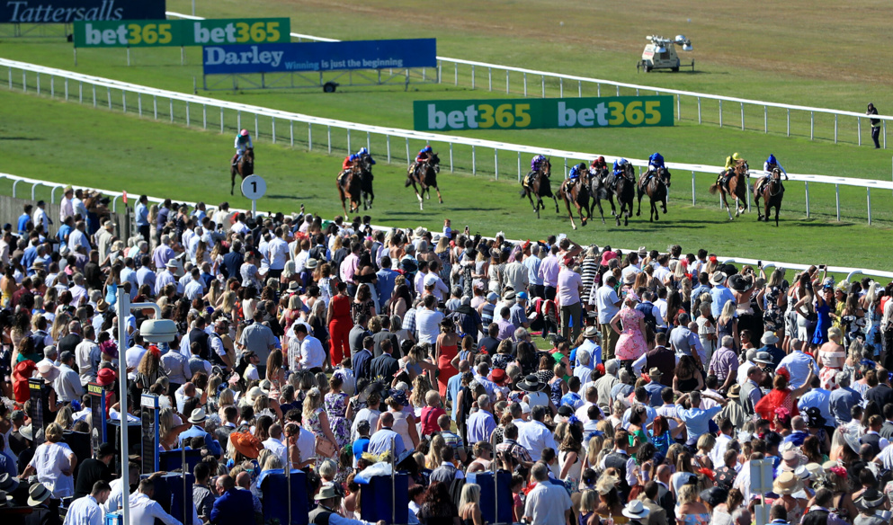 We have 4 selections for the Newmarket July Festival today