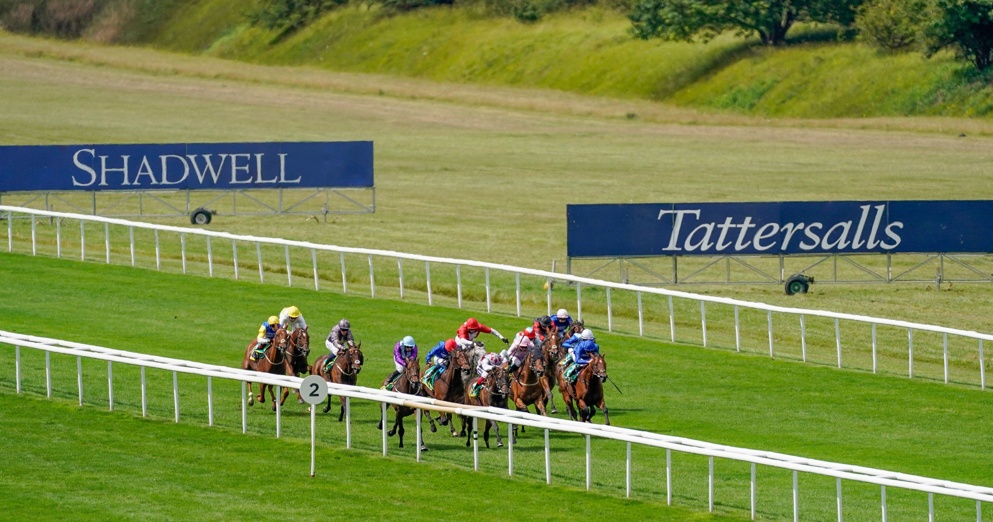 Read our 3 tips for day 2 at the July Festival