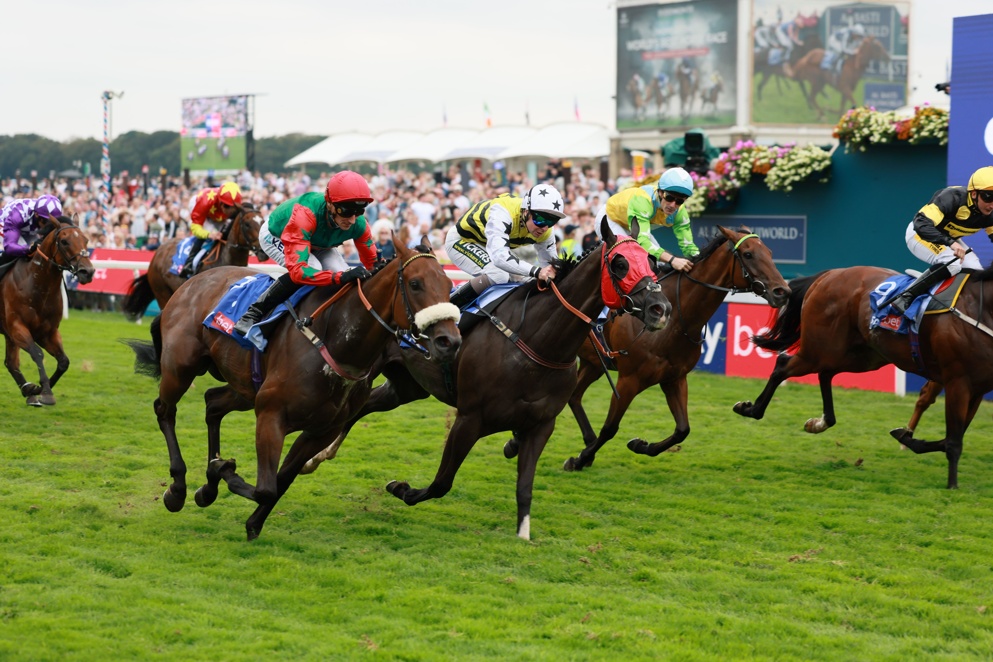 Will Michael Dods land the valuable Ayr Gold Cup with Northern Ticker?