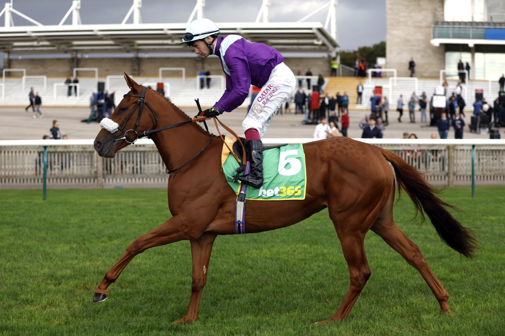 If Oisin Murphy has a good day on Thursday, our tipster will too!