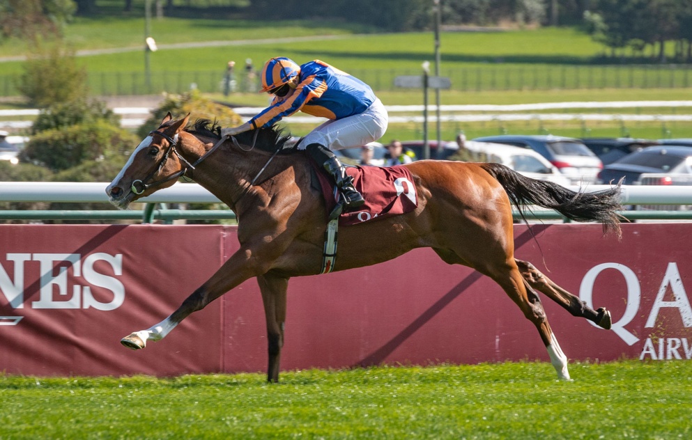 Ryan Moore is on another favourite in Opera Singer at Royal Ascot