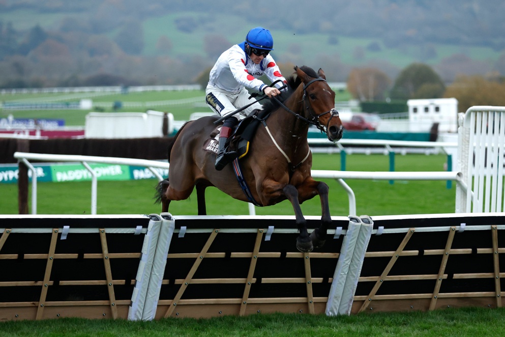 Potters Charm in the El Rincon syndicate colours of whom Alex Ferguson is a prominent member