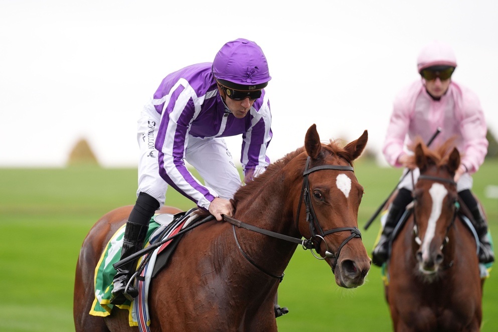 Precise is a warm order for 1000 Guineas glory for Ryan Moore and Aidan O'Brien