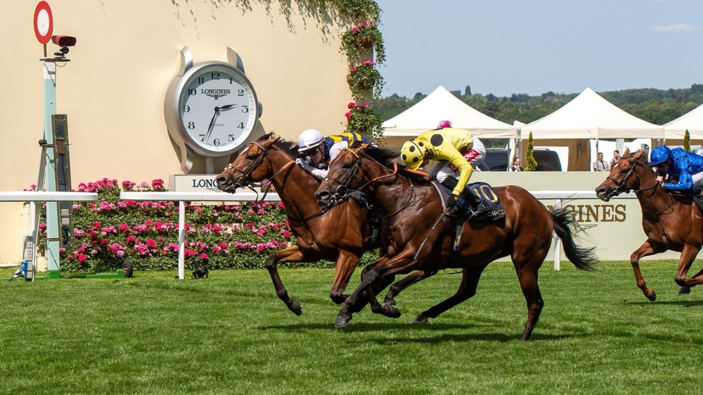 Docklands won the Queen Anne in 2025 by the smallest of margins