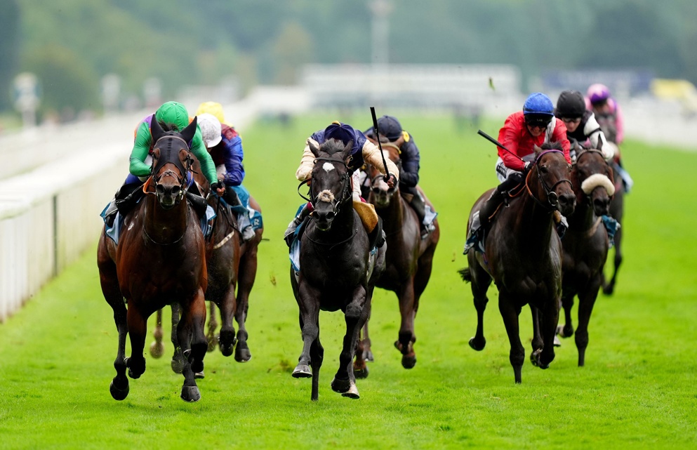 Quinault is back in action at Newmarket today