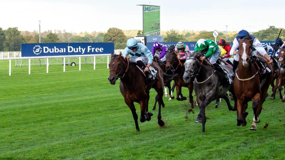Read on to find out why we are backing ROHAAN for Ayr Gold Cup glory