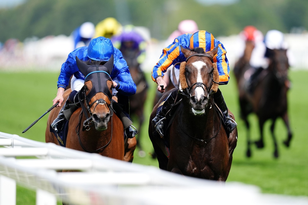 Scandinavia and Trawlerman renew their rivalry in the Goodwood Cup