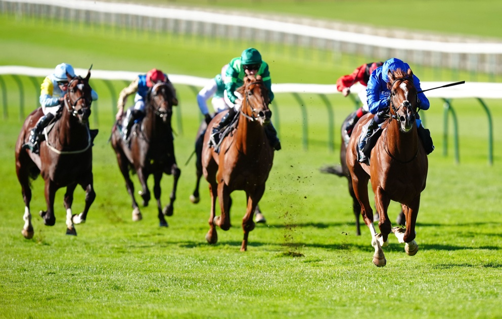 Guineas third Shadow Of Light is a warm Commonwealth Cup favourite on Friday