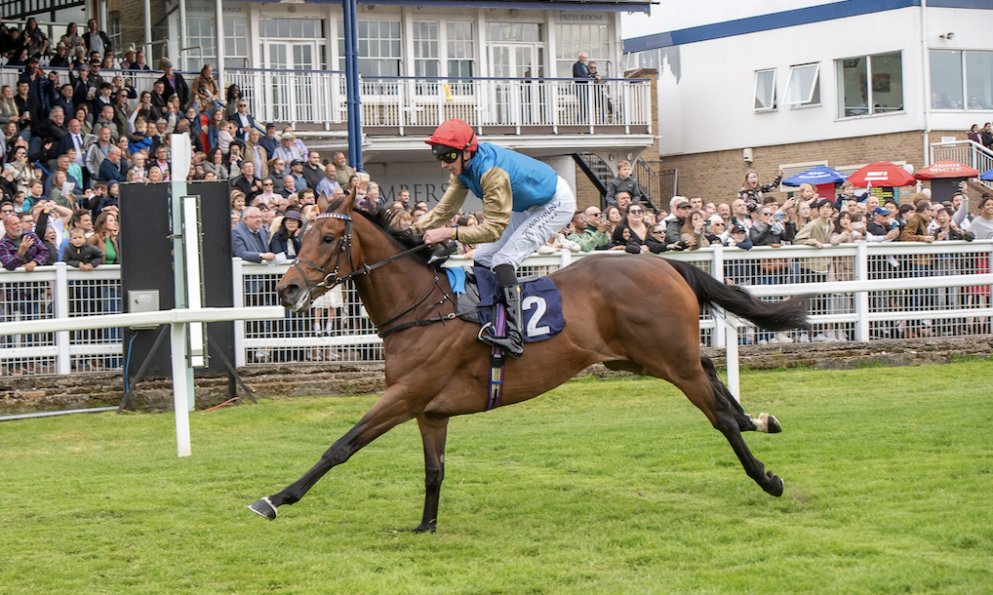Silawi looks overpriced in the first televised race of the day