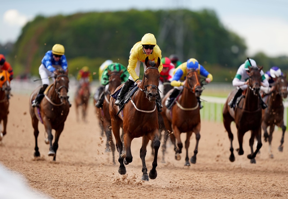 Southwell is popular amongst the Naps Table leaders today