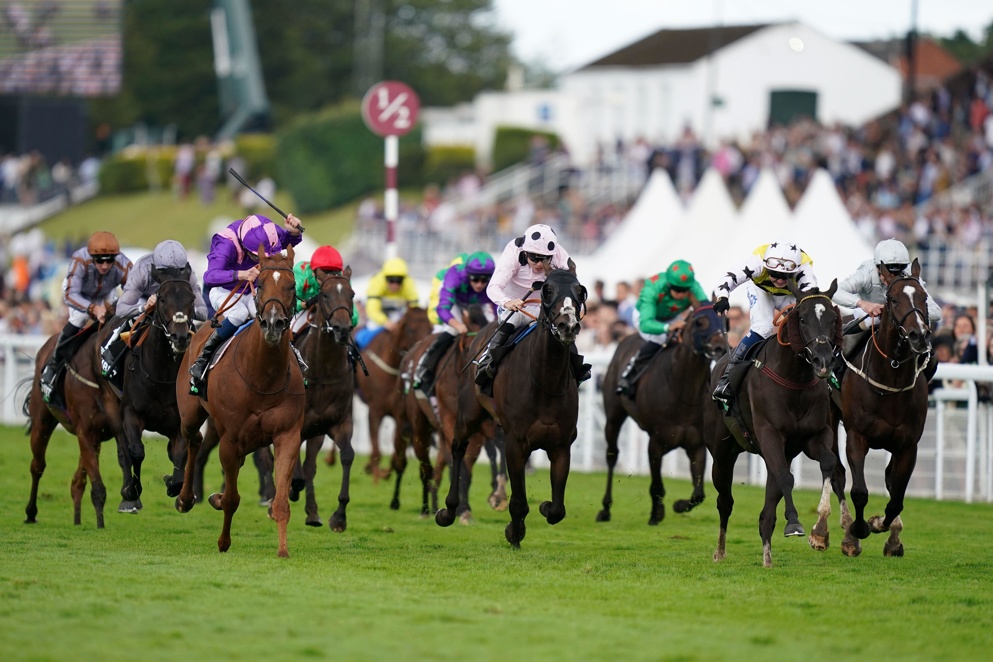 The Stewards Cup is the big betting race on day 5 of Glorious Goodwood