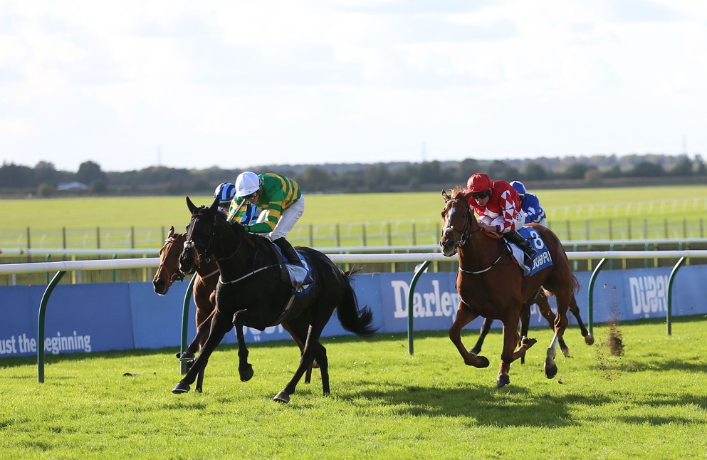 The Shunter looks to defend his Cesarewitch but another Emmet Mullins runner is better fancied...