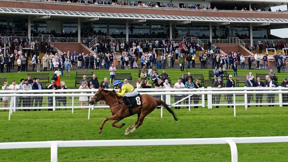 Can Thunder Ball cause another rumble in a valuable handicap?