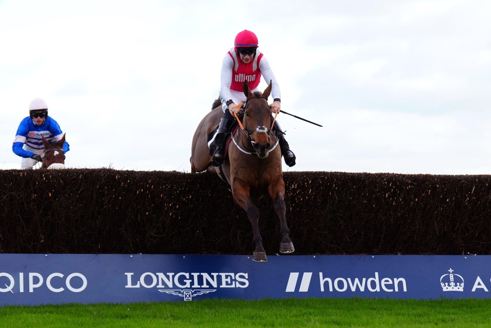 Thunder Rock Ascot Fence
