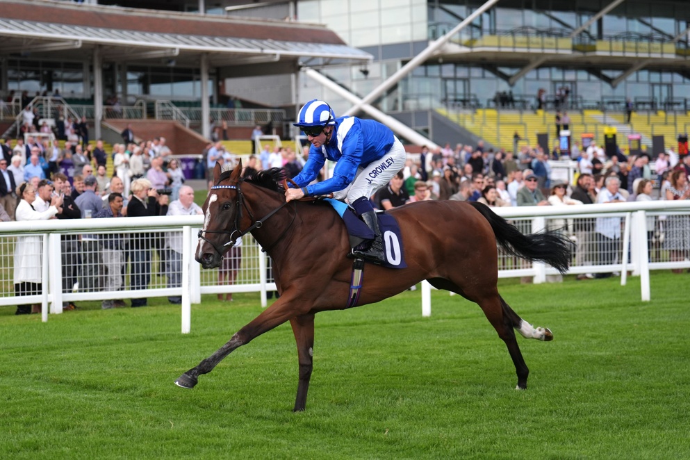 Can Touleen win today's Rockfel?