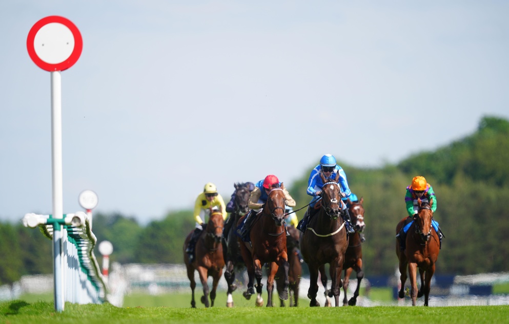 Venetian Sun looks the best sprinter of her generation and can prove it in the Commonwealth Cup