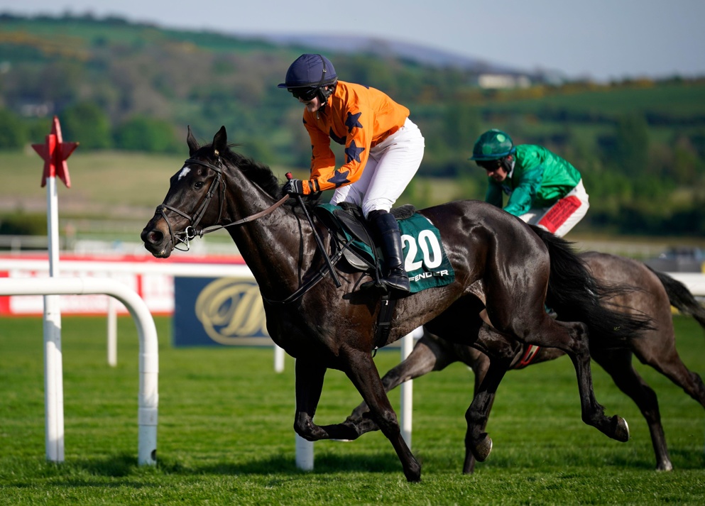 Wonderful Everyday justified the hype on debut and makes @RoadCheltenham's Irish list