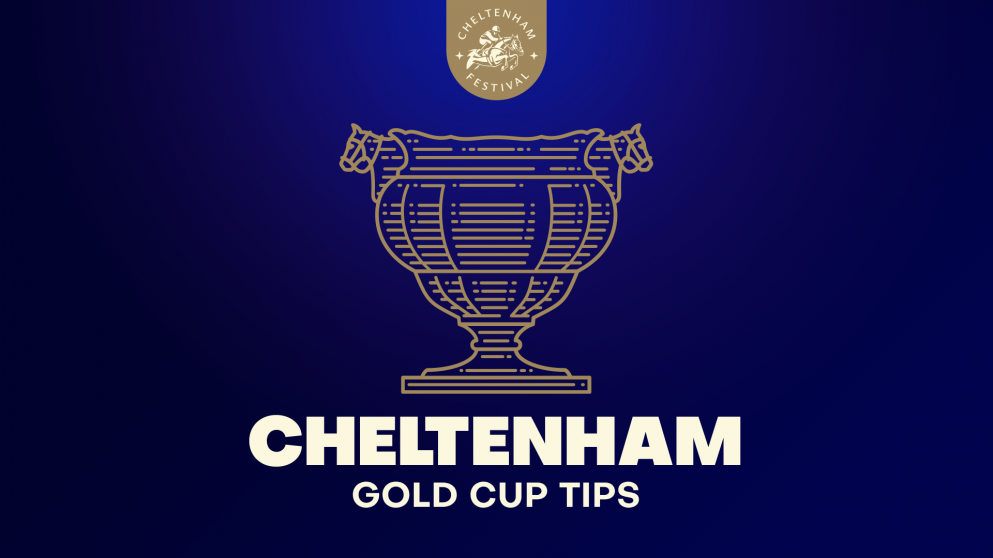 All you need to know about the Cheltenham Gold Cup is here!