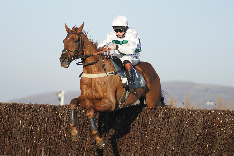 Baron Alco was an excellent winner of the 2018 renewal of the BetVictor Gold Cup for the Gary Moore team.