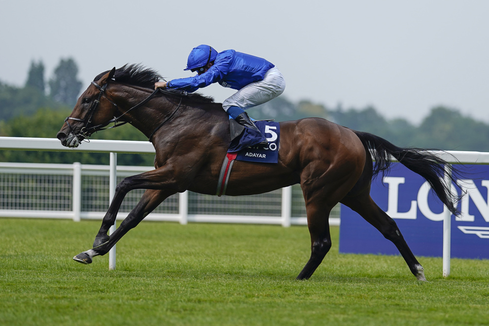 Derby winner Adayar is bidding for Arc glory in France this weekend.