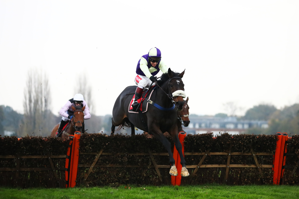 Albert Bartlett Novices' Hurdle Tips: Adrimel can deliver in this wide open Grade 1 event