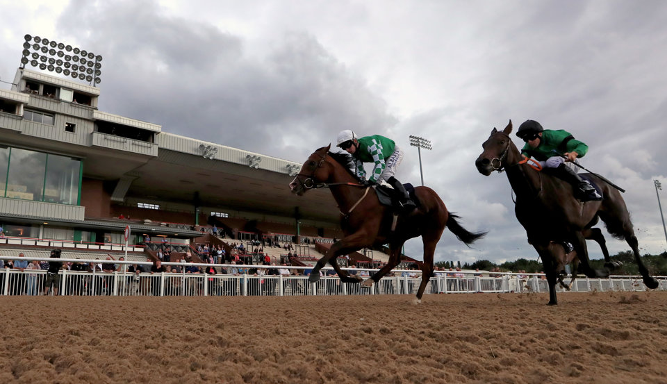 Today's Horse Racing Tips: Chris Baker has one tip at Wolverhampton on Monday.
