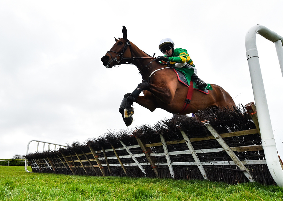 Andy Dufresne takes his chance in the Grade 2 Moscow Flyer Novice Hurdle at Punchestown on Sunday.