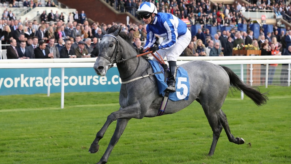 July Cup Tips: Check out our best bet for the Newmarket showpiece.