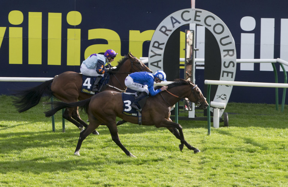 The Ayr Gold Cup always proves to be a pulsating affair.
