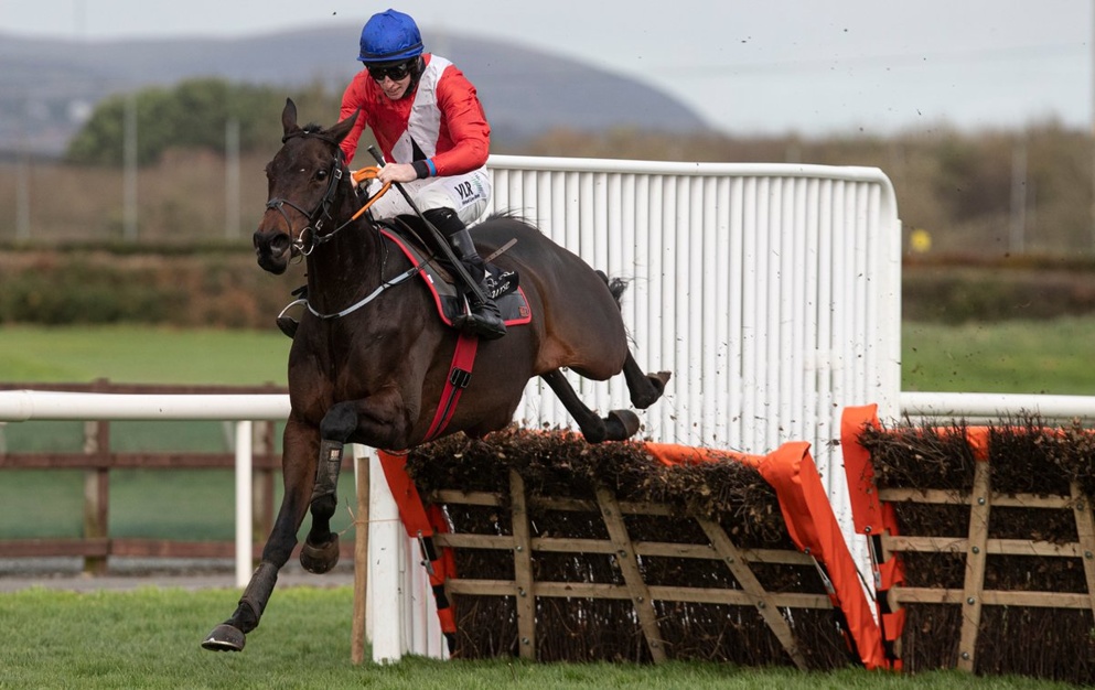 Ed Quigley fancies Ballyadam to bounce back to form on Saturday