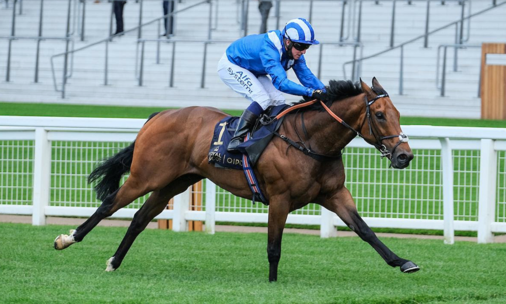 Royal Ascot Tips: Battaash could be a favourite to avoid.