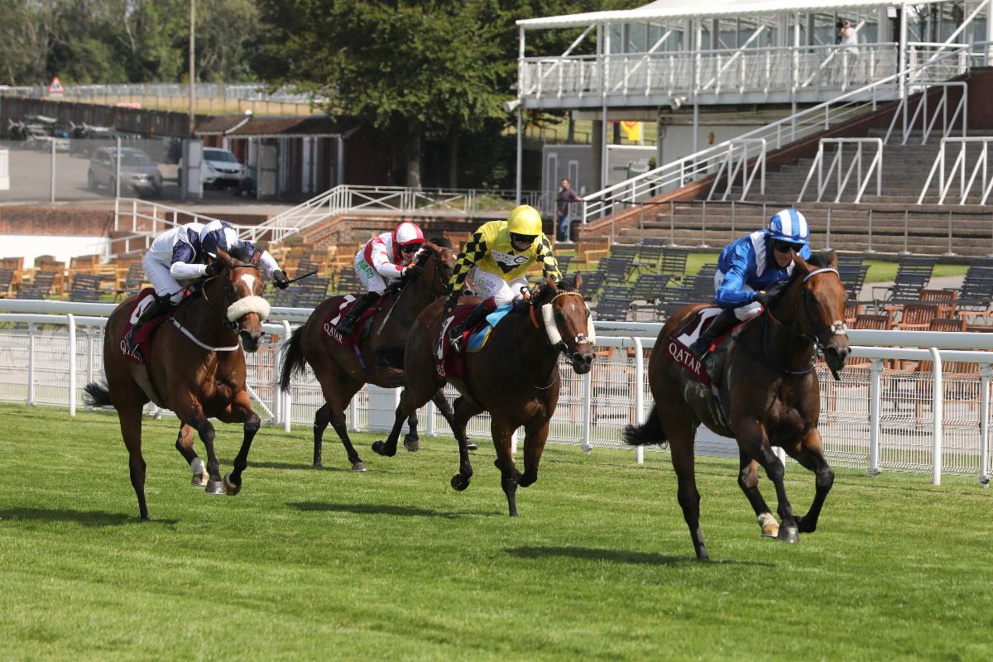 Battaash is a red-hot favourite for the Nunthorpe Stakes at York