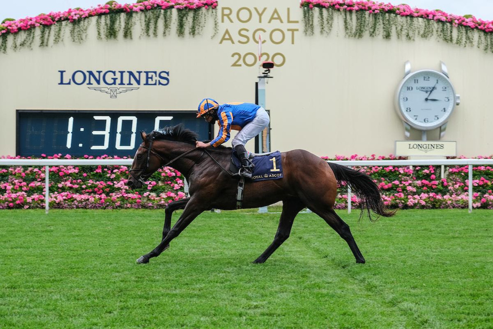 Today's Goodwood tips: Battleground is aiming to follow up his win at Royal Ascot last month.