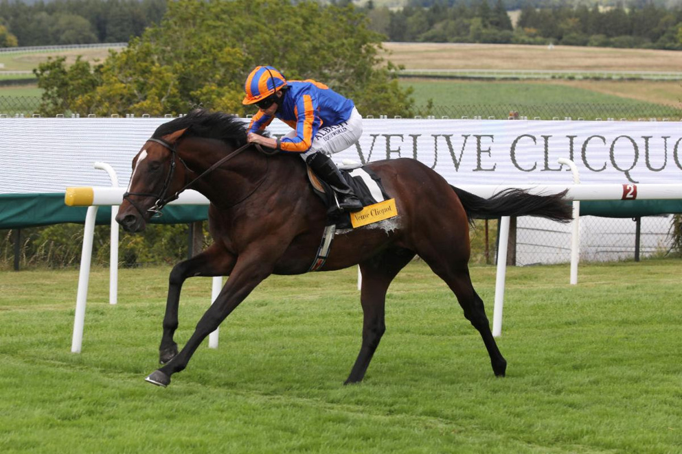 Battleground Vintage Stakes Goodwood Finish
