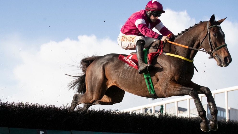 Punchestown Festival Day 3 Tips: Check out our best bets for Thursday.