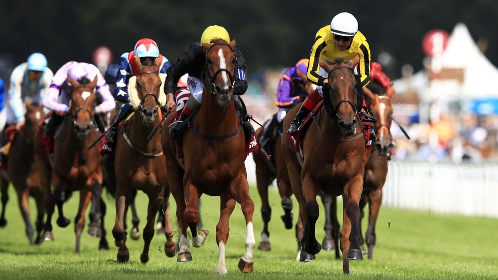 Stradivarius has won each of the last three renewals of the Goodwood Cup.