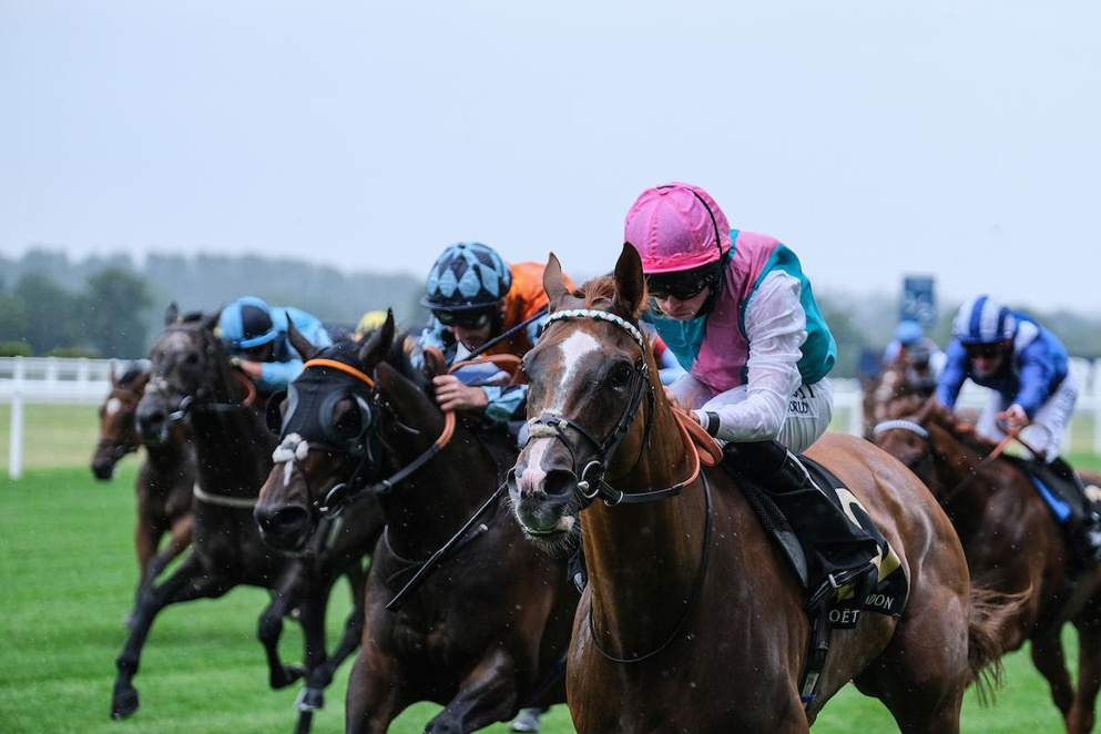 Find horse racing tips for Ascot and York this weekend...